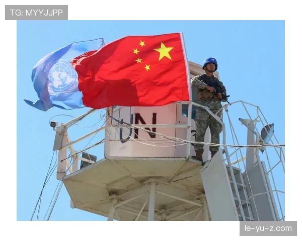 突尼斯迦太基之鹰崭露头角，成为地区和平新力量