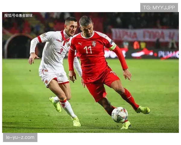 2024欧洲杯最佳阵容揭晓，荣耀与团队精神点燃球迷期待