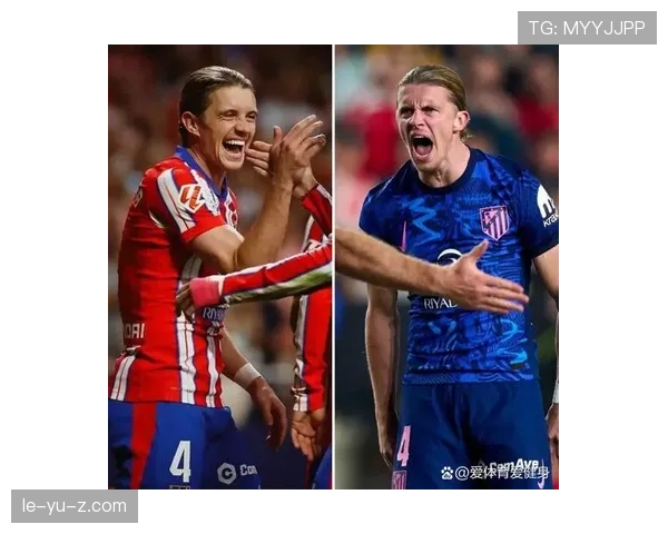 阿尔瓦雷斯国家队战术角色与实际贡献解析