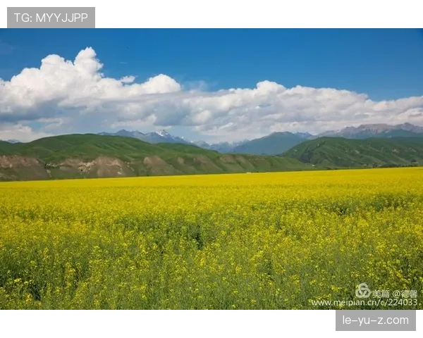 唐佳豪同一天：深夜五星餐厅账单，早晨巷口拎便当排队，笑到不行